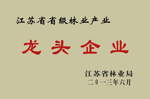 江苏省省级林业产业龙头企业