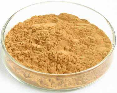 Water-soluble ginkgo biloba extract